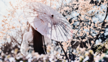 A Flower Is No Flower